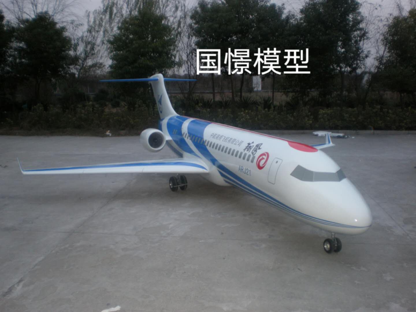 临洮县飞机模型