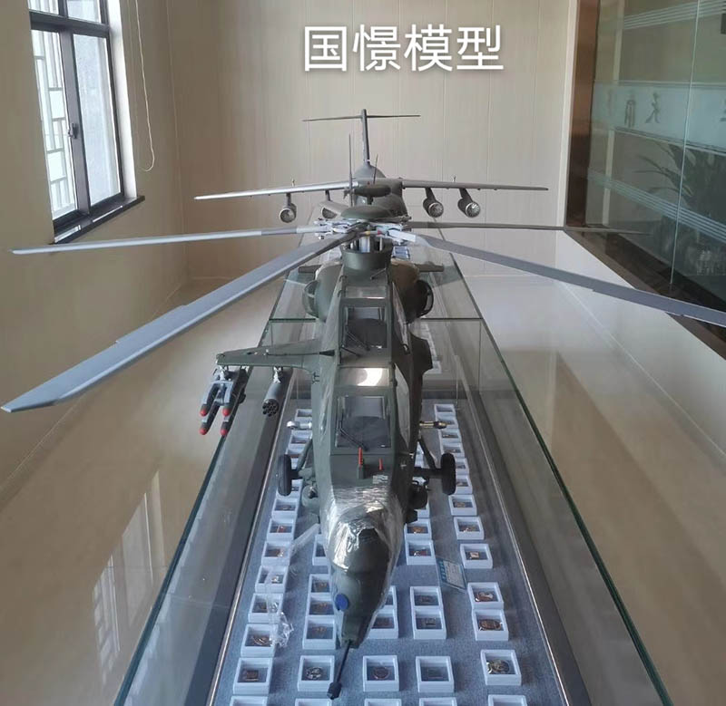 临洮县飞机模型